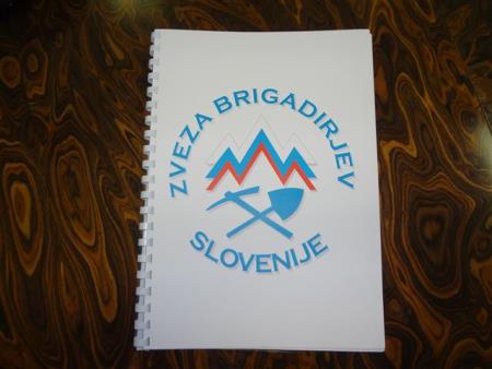 Zveza brigadirjev Slovenije 2014 (1) (Small)